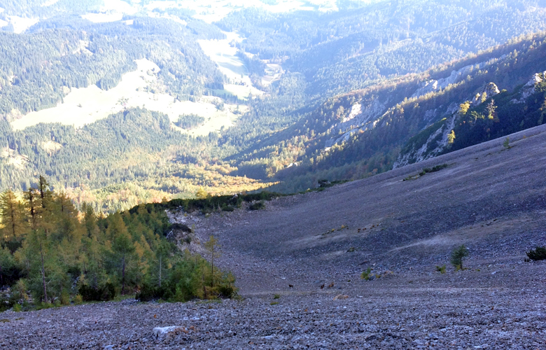 Unser Highlight Gämsen unterm Koschutnikturm – 5. Etappe Panoramaweg Südalpen