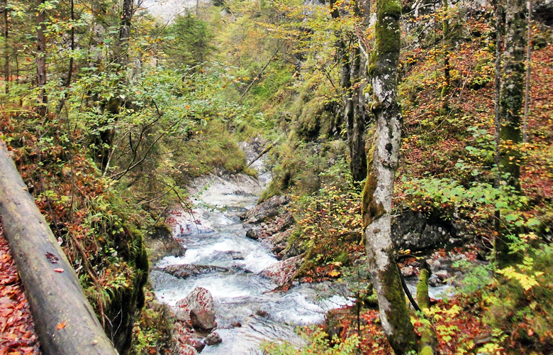 Die Kubizklamm bei Bad Eisenkappel – Etappe 7 Panoramaweg Südalpen
